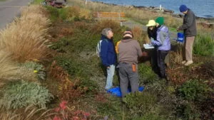 Implementation of a Bioretention Facility and Rain Garden Assessment Protocol