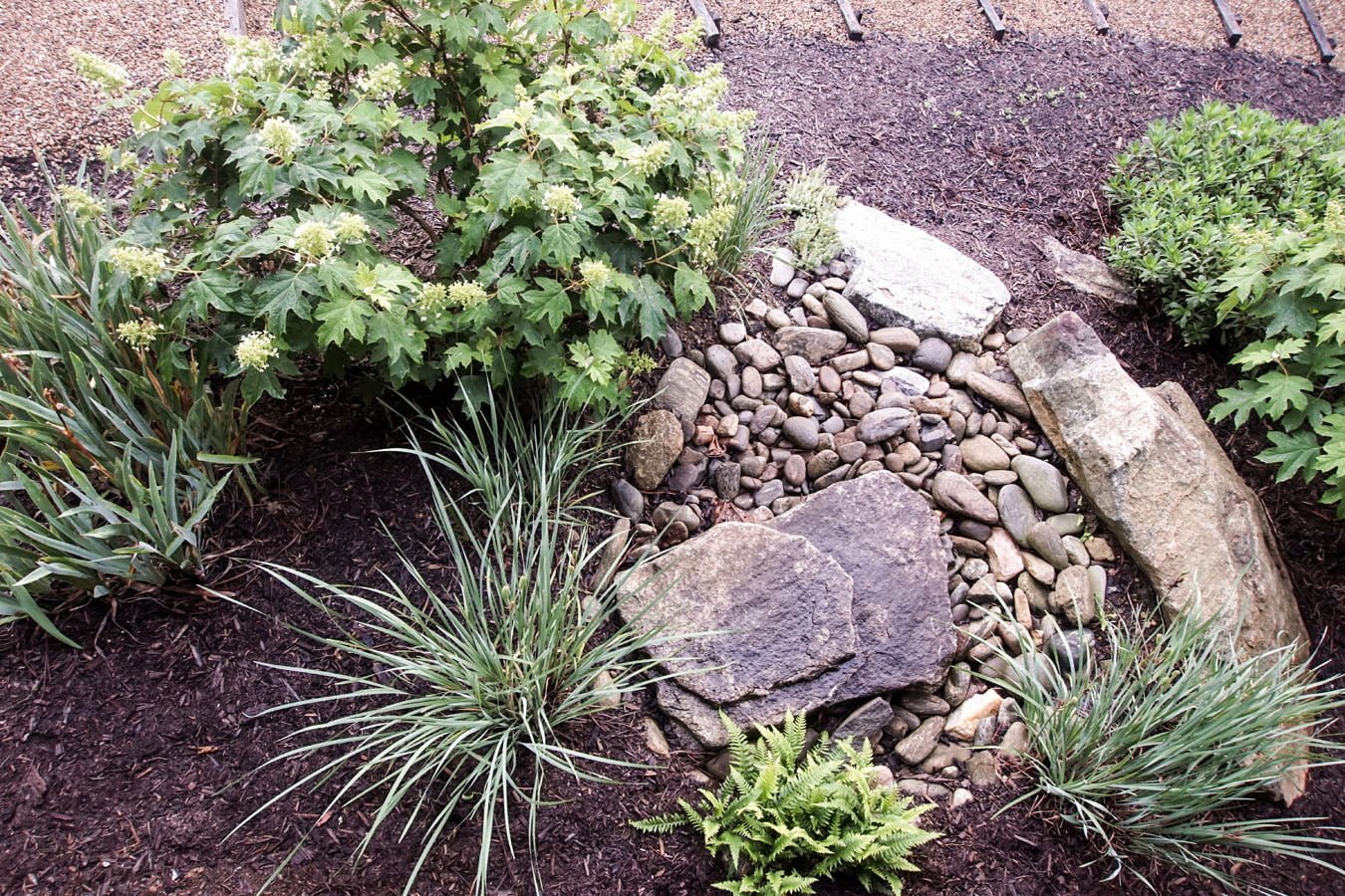 Implementation of a Bioretention Facility and Rain Garden Assessment Protocol