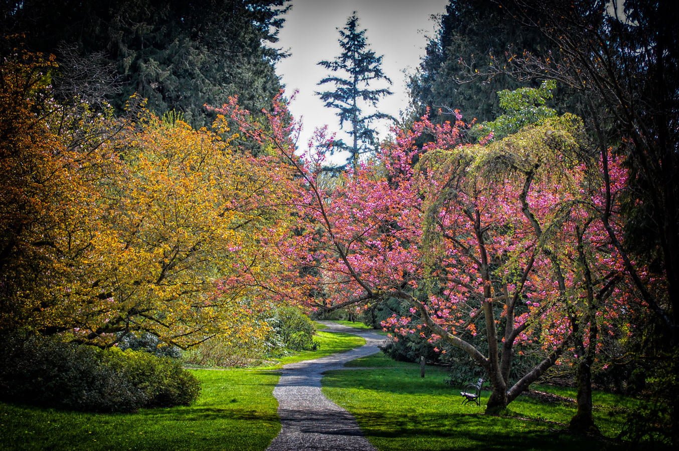 The History of Bioretention in Washington State