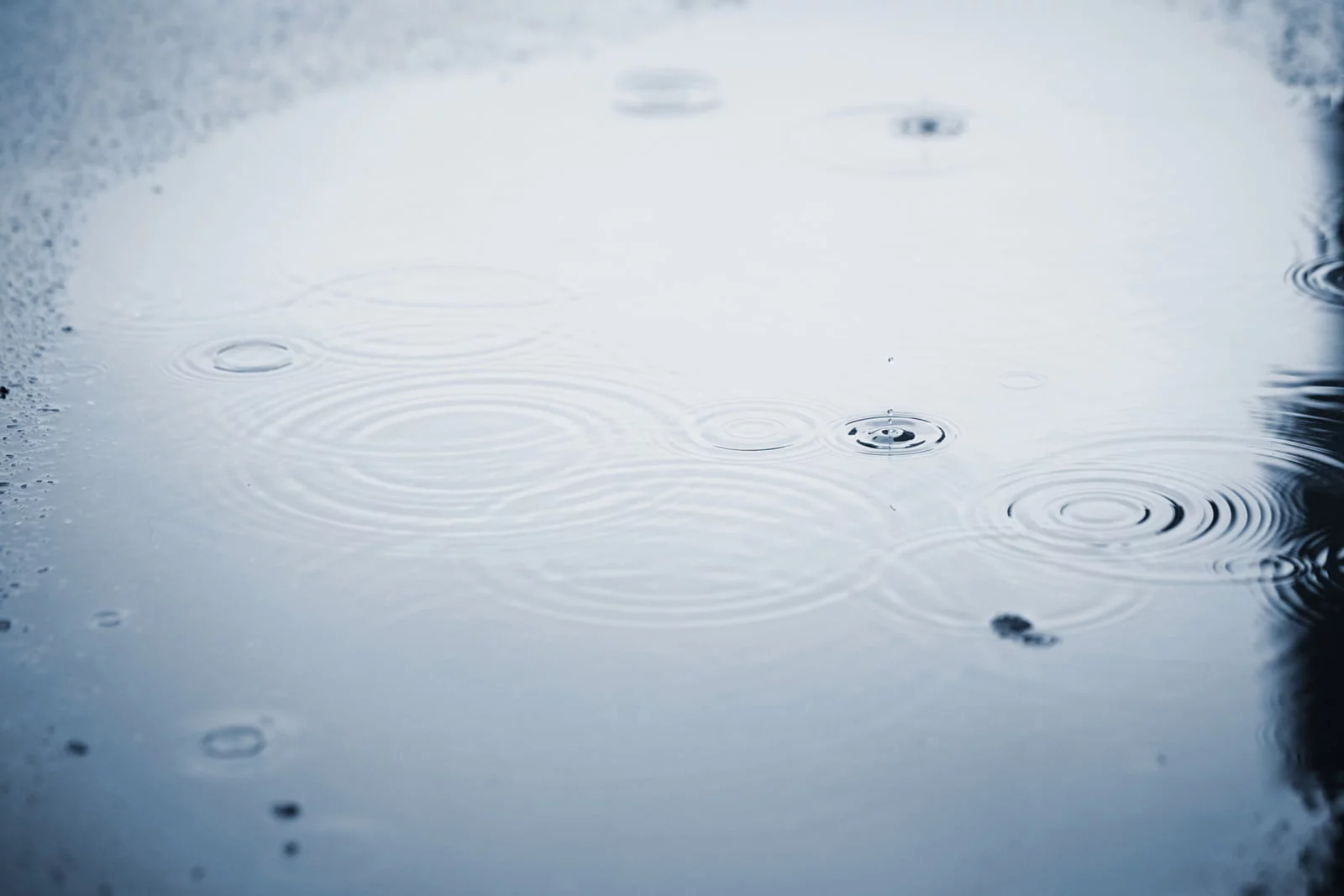 stormwater university