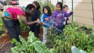 Green Infrastructure Upgrades