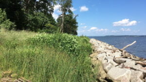 living shorelines