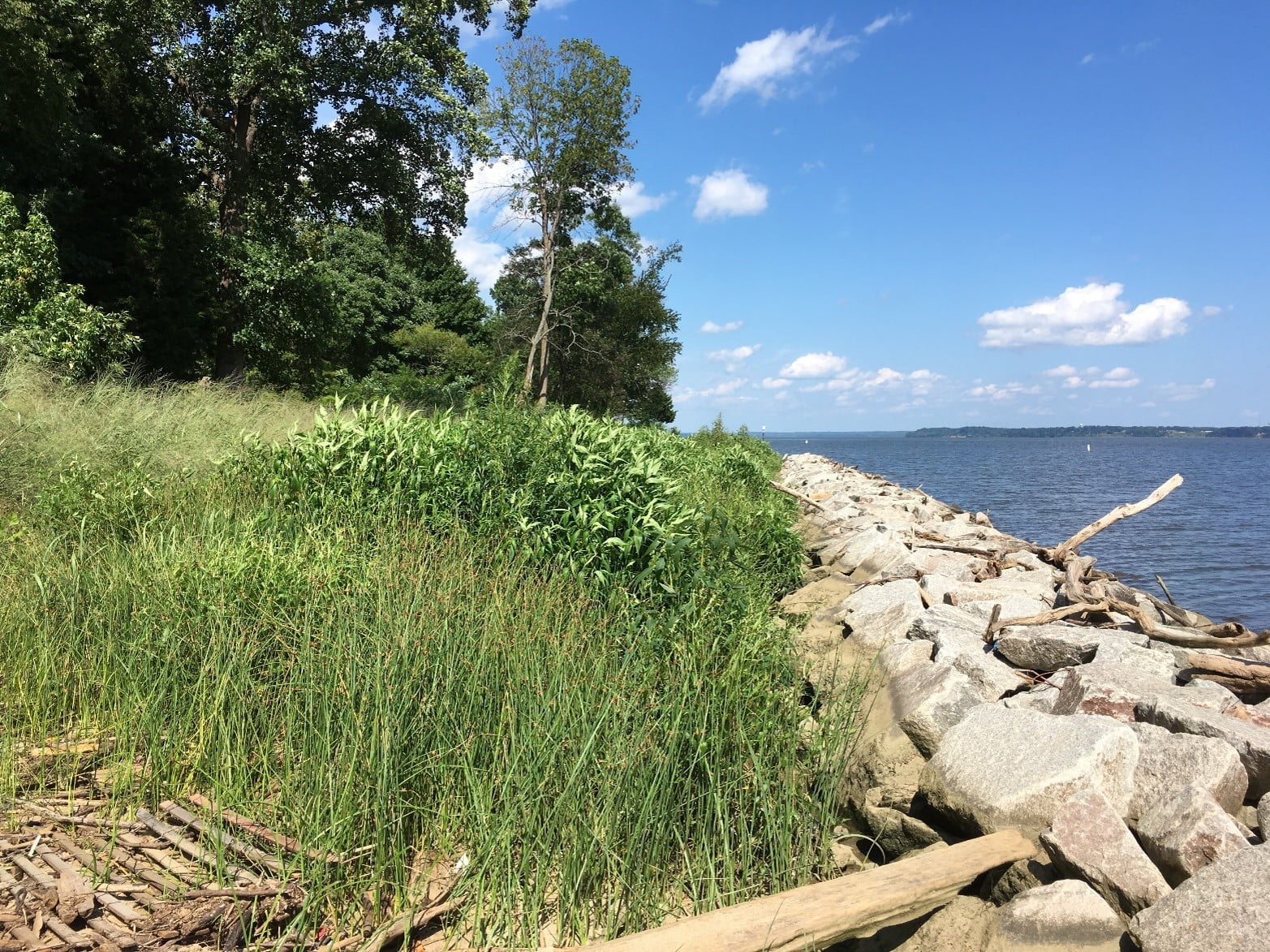 The Process to Create and Monitor a Living Shoreline Project