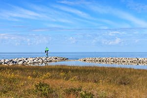 Living Shorelines: Lakes, Ponds, and Other Inland Waters