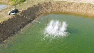 Technological Innovation