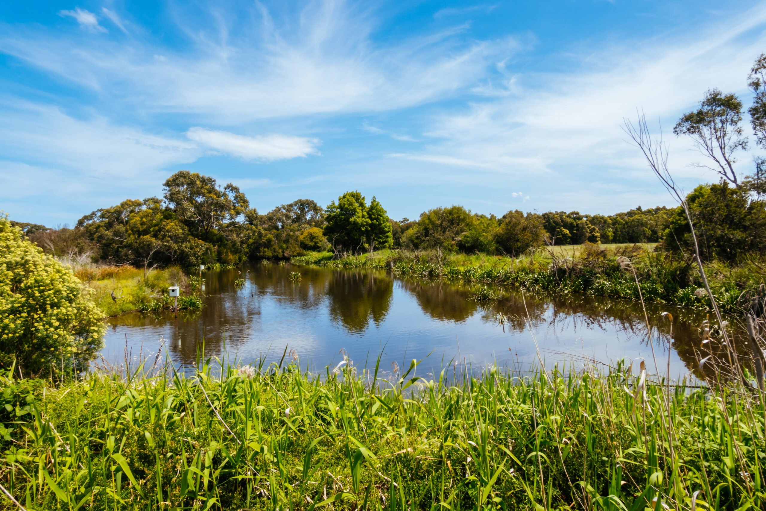 Wetland Regulations 101 for Stormwater Professionals (On-Demand)
