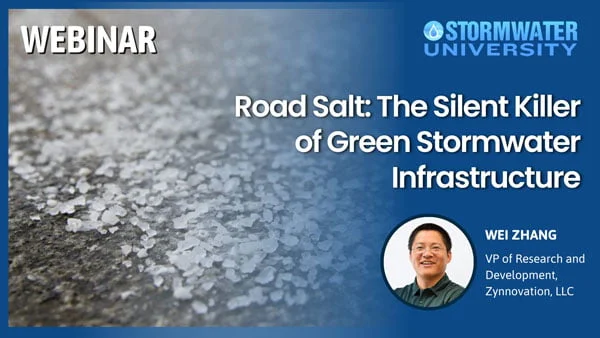 Road Salt: The Silent Killer of Green Stormwater Infrastructure – Group