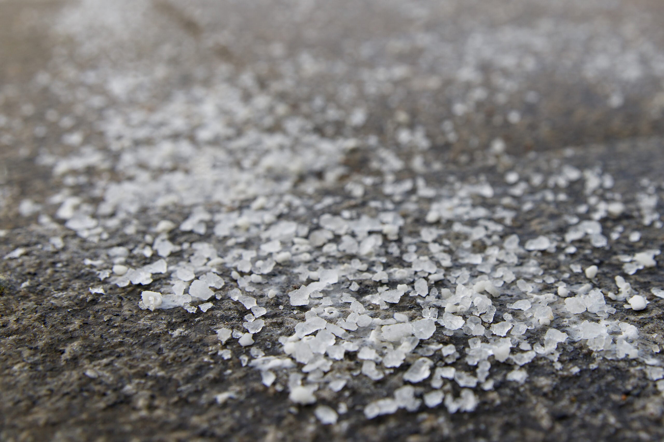 Road Salt: The Silent Killer of Green Stormwater Infrastructure